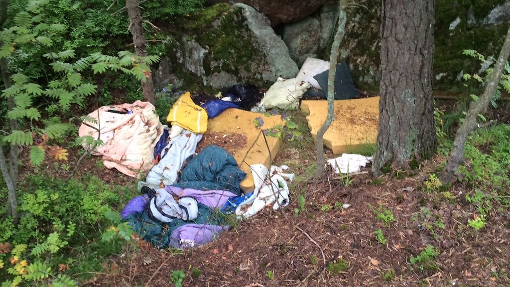 Patjaleiri metsässä