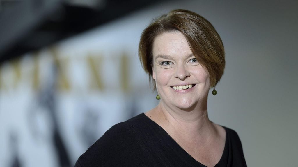 Häiriötekijä pressi Elina Knihtilä