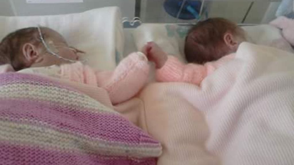 Lily ja Grace saivat keskoskaapissa toisistaan turvaa.