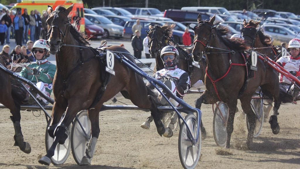 Viekö Venice tänään voiton Vermon Tammatähdessä?