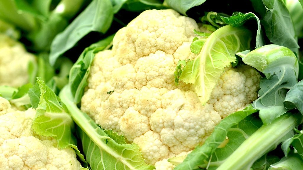 Tänä kesänä kukkakaalisato on Suomessa laadultaan hyvä.