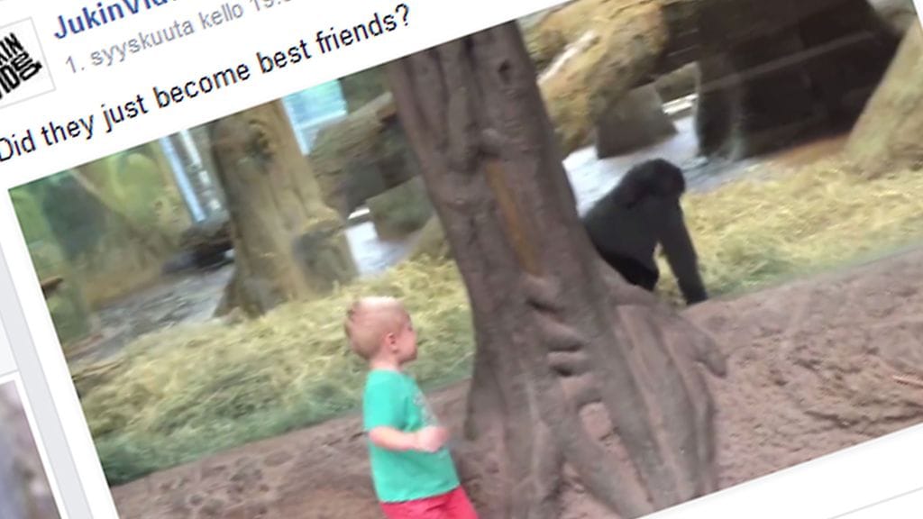 Pikkupoika ja pieni gorilla leikkivät aikansa kuluksi hauskaa piiloleikkiä.