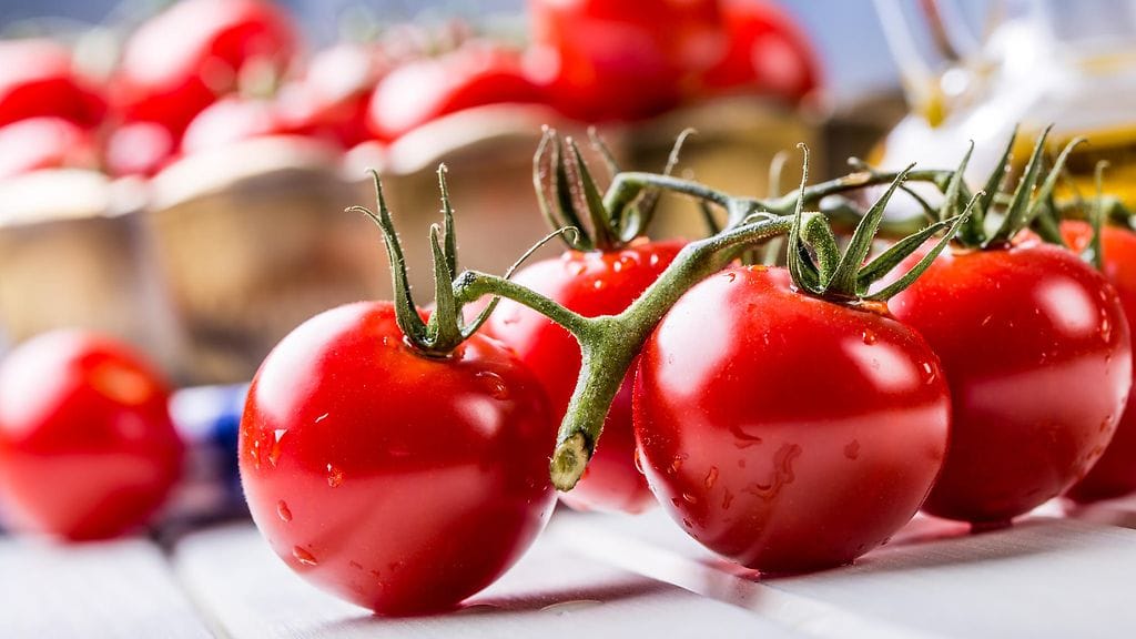 Tomaatit