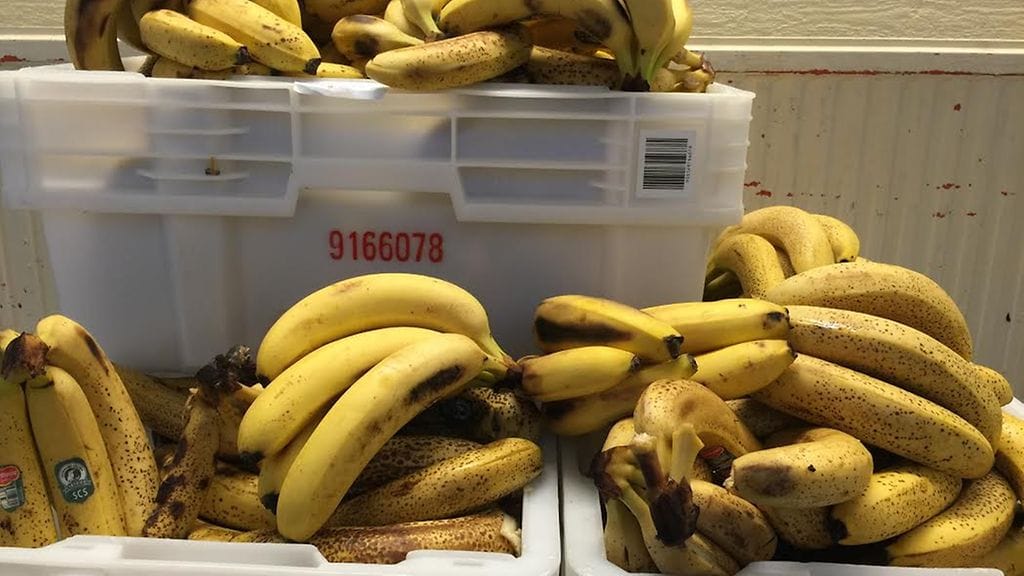 Ruoka-apu, leipäjono, manna-apu, harri simonen, espoo 45