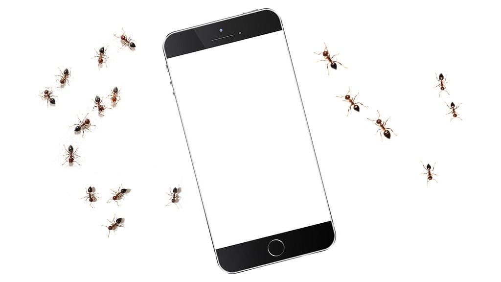 Selityksiä muurahaisten toimille voi olla useita.