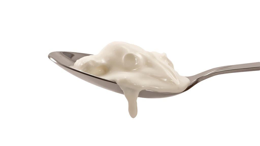 Suomalaisille maitorahka on tuttua välipalaa.