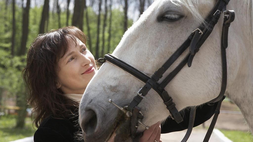 Hevonen on vuorovaikutuksellinen eläin, joka hyväksyy ihmisen sellaisena kun hän on. Kuvituskuva.