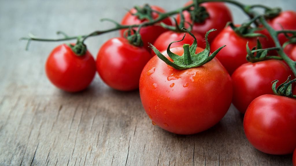 Tomaatit eivät ole parhaimmillaan talvisin.