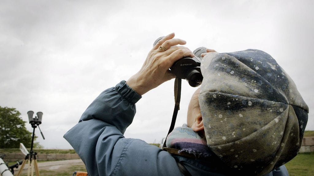 Helsingin Tähtitorninmäellä tarkkailtiin, kun Venus kulki auringon ohi 8. kesäkuuta 2004.