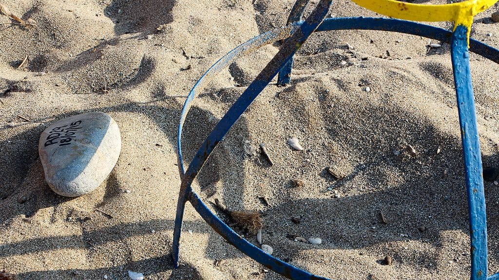 kilpikonnat_0007_Layer 6