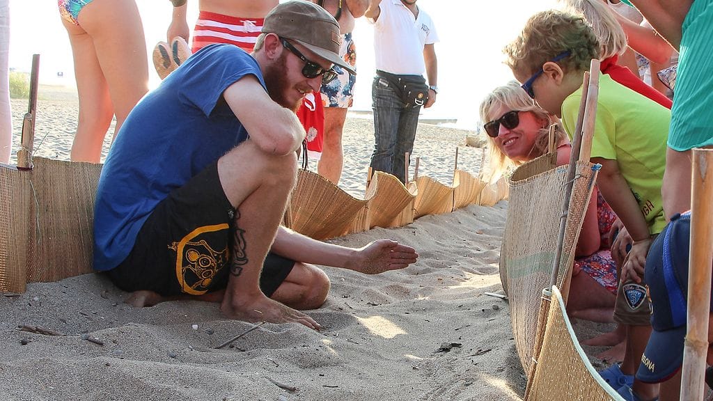 kilpikonnat_0000_Layer 13