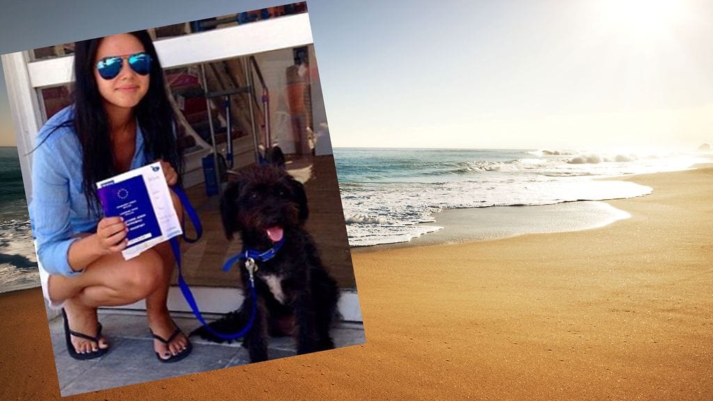 Georgia Bradley teki kaikkensa saadakseen lempeän Pepper-koiran mukanaan kotiin Englantiin.