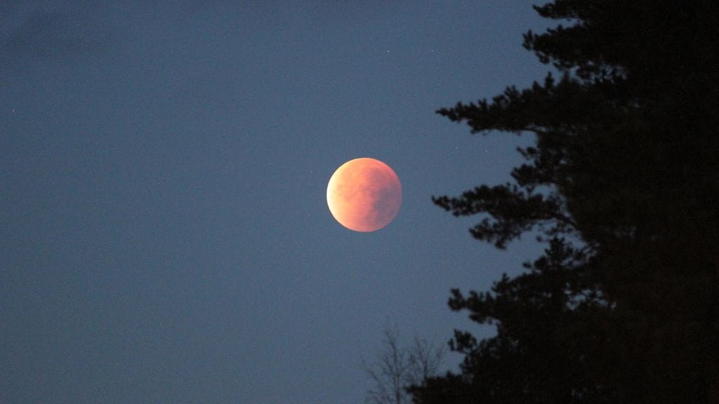 Kuva kuunpimennyksestä Joensuussa vuonan 2015.
Kuva: Ulla Mursula.