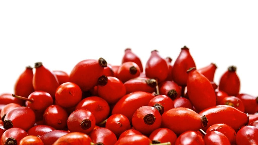 Kaikkien ruusujen marjoja voidaan hyödyntää ruoanlaitossa. Kuvassa koiranruusun kiulukoita.