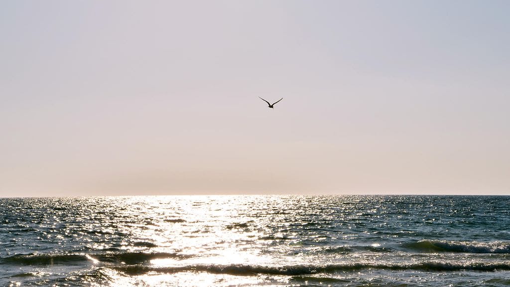 Sukulaisia voi löytyä mertenkin takaa.