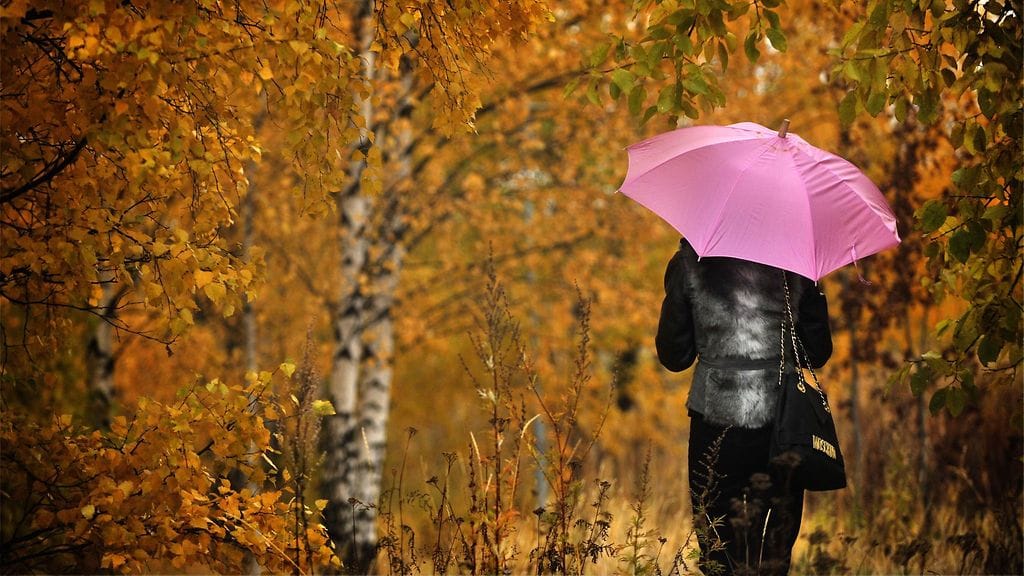 "Mietin välillä, että kannattaako enää edes mennä töihin – sitten kun joskus paranen – kun ulosotto vie puolet palkasta", kertoo velkaantunut lukija. Kuvituskuva.