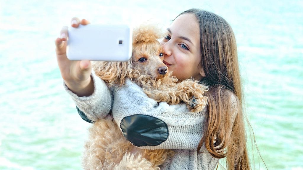 Tämä koira ei ainakaan näytä kovin innostuneelta... Kuvituskuva.