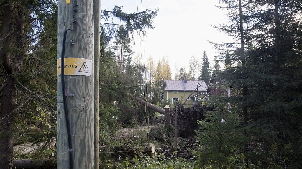 Tele ja sähköyhtiöt pohtivat miten myrskyjen aiheuttamiin suurhäiriöihin voidaan varautua, esimerkkiä haetaan muun muassa lokakuun alussa riehuneen Valio-myrskyn kokemuksista, Kuvassa Valio-myrskyn jälkiä Lintukankaantiellä Jyväskylässä.