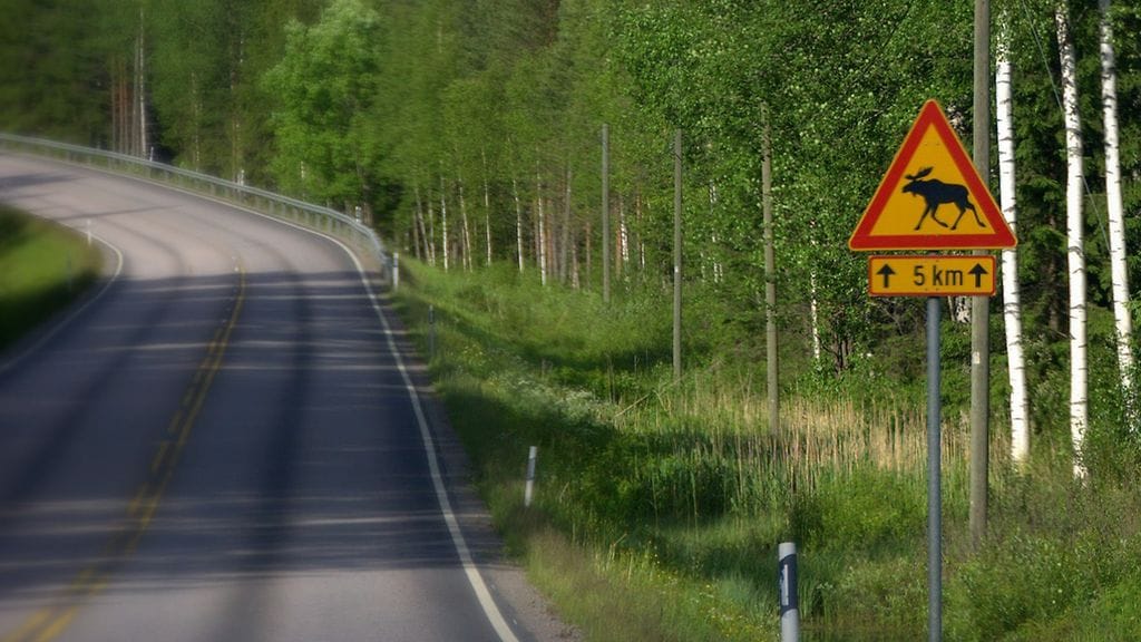 Hirvien kiima-aika, syksyn pimeys ja hirvien siirtyminen talvilaitumille lisäävät merkittävästi hirvikolaririskiä.
