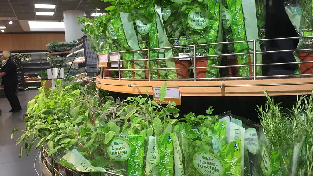 Roskikseen joutuneet yrtit saivat aikaan keskustelua hävikistä.
