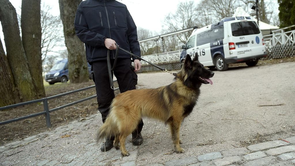 Poliisikoira ja ohjaaja työssään Helsingissä huhtikuussa 2015.