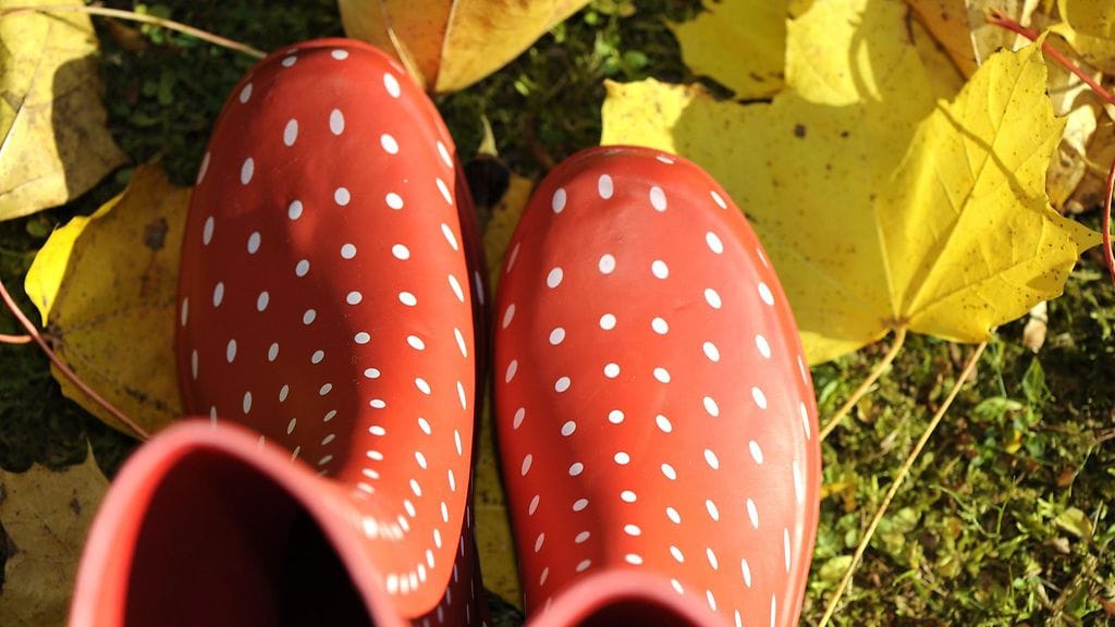 Syyslomien pituus vaihtelee parista päivästä kokonaiseen viikkoon. Kuvituskuva.