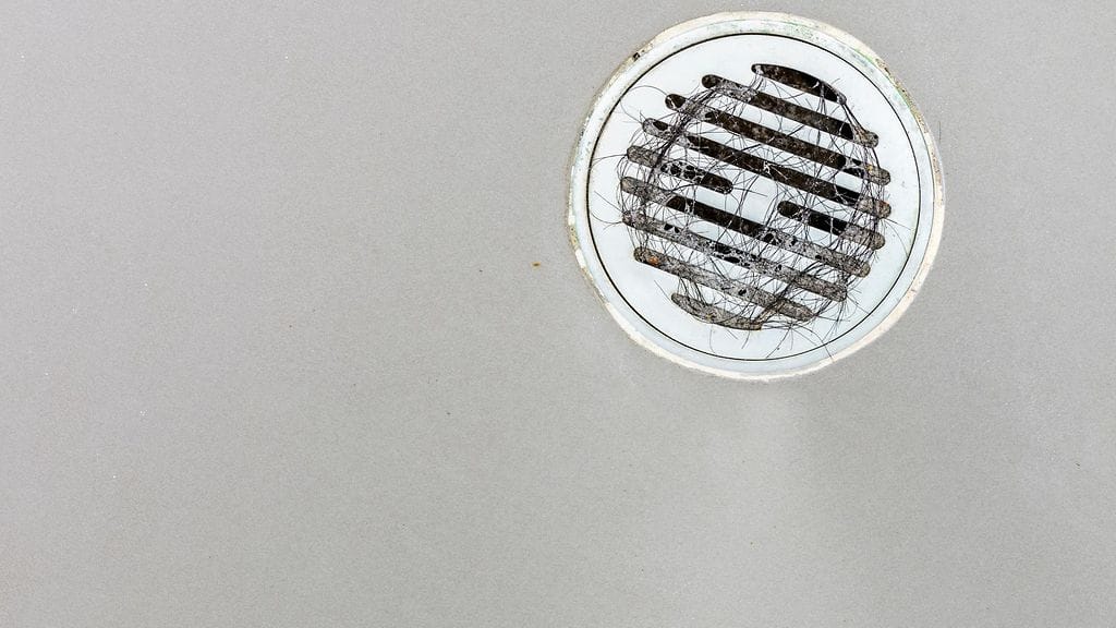 viemäri, hiukset, suihku