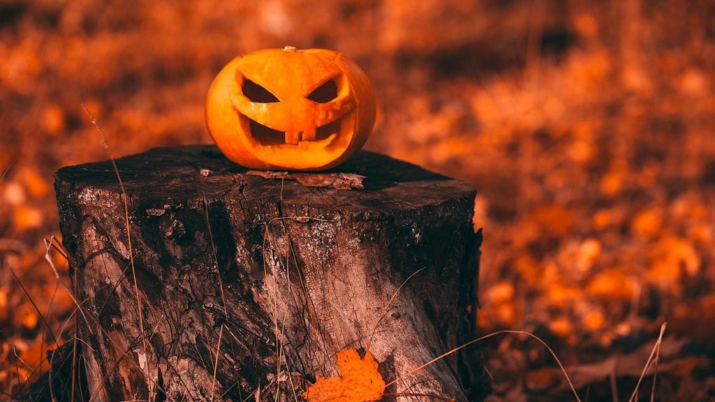 Lienee itsestäänselvää, ettemme suosittele kaivertamaan Halloween-kurpitsaa ampuma-aseella.