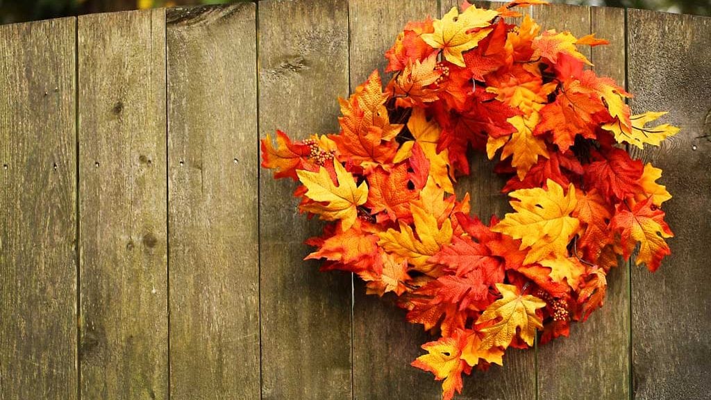 Syysväreissä loistavat lehdet ovat kaunis ja näyttävä materiaali syyskranssiin.