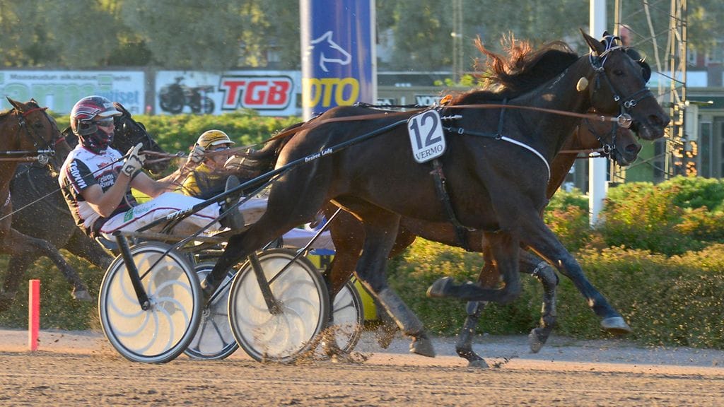 Tapio Mäki-Tulokas odottaa suojattinsa Pazzo Lindyn pysyvän tänään ravilla. Ohjakset ottaa jälleen Sami Nummi.