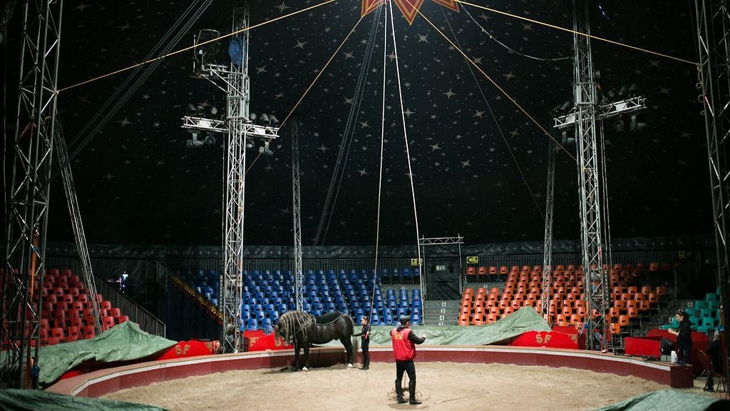 Sirkuslapset5 sirkus sirkusfinlandia teltta