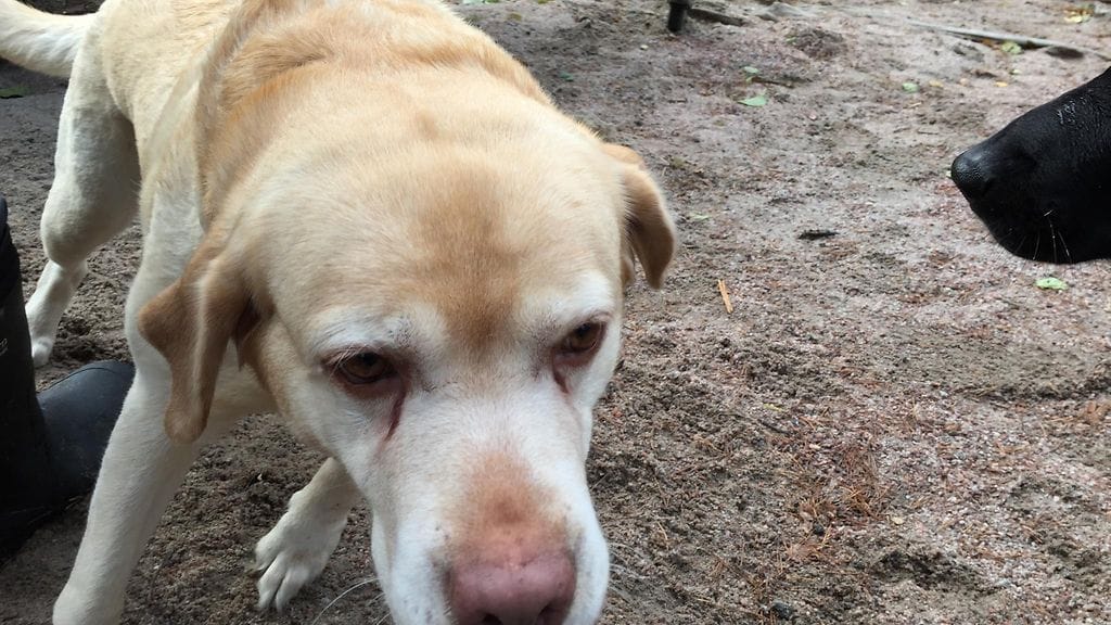 IMG_1727 Nela Nuuksio