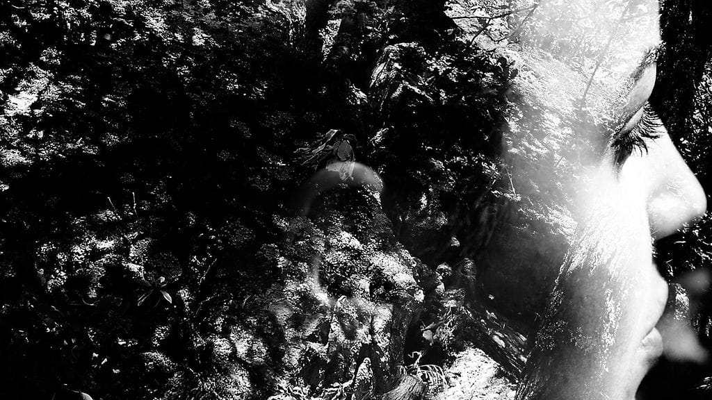 Tuplavalotuskuva (7)