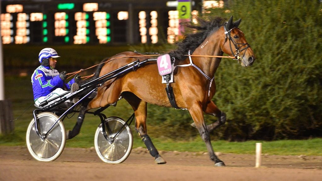 Amaretto Scoop ja Jyrki Tammimetsä pyrkivät tänään palaamaan voittokantaan.