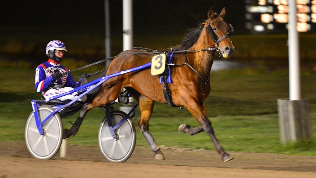 Olli Koivunen ja hevonen numero kolme olivat tänään vastustajille pitelemätön yhdistelmä. Kuvituskuva.