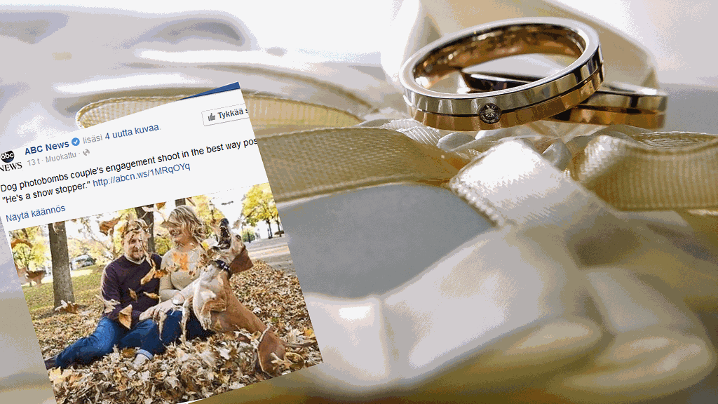 Louie-koira halusi myös näyttäytyä kihlajaiskuvassa.