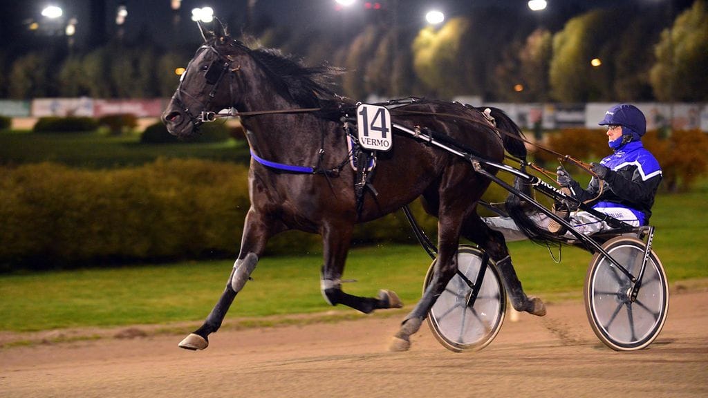 Ida Glitter starttaa voitto alla Tampereen Toto5-kierroksella, joka nähdään maksutta Katsomon kautta.