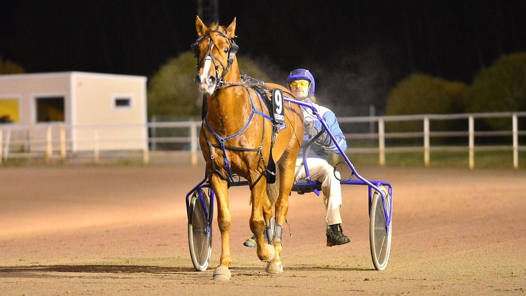 Välähdys ja Ville Korjus