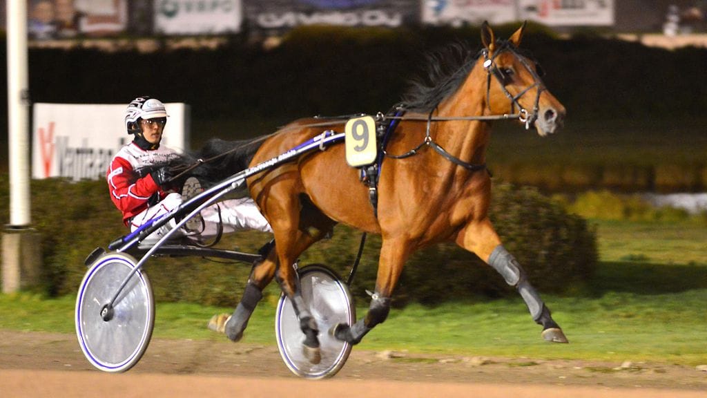 Bean Star ja Antti-Joonas Heikkinen