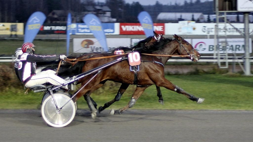 Vagabondo löi Begemot Fridon 2-vuotiaiden Kasvattajakruunussa. Tänään kaksikko kohtaa 4-vuotiaiden vastaavan kisan alkuerässä Seinäjoella.