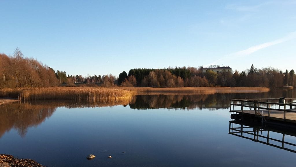 Syksyistä valoa. Kuva: Raija Saario, Järvenpää
