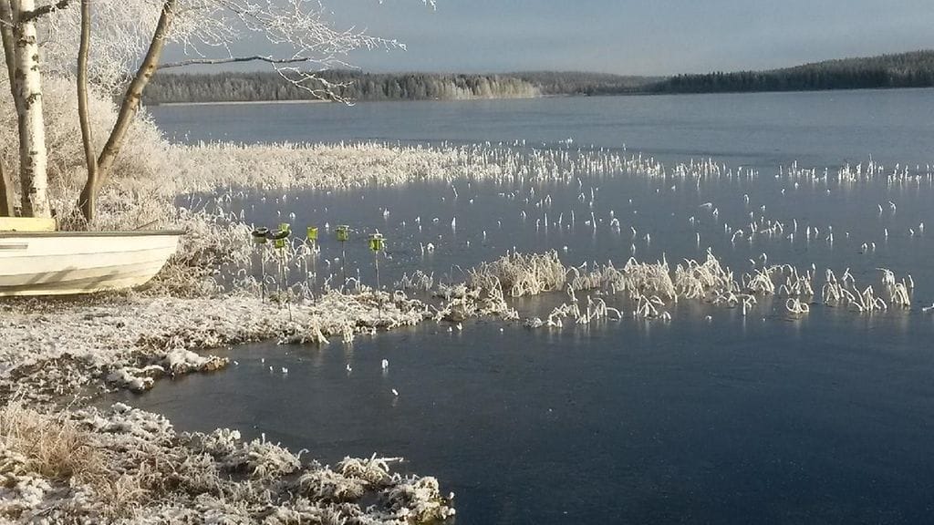 Lukijan kuva Pudasjärveltä joulukuun lopussa.