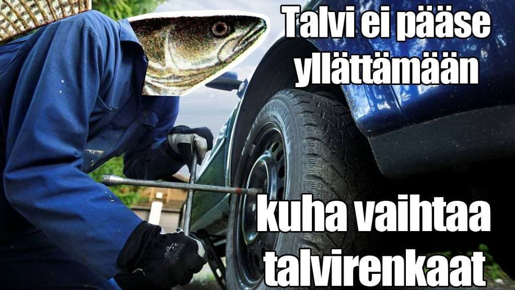 Poliisin kuhameemi 2. marraskuuta 2015.