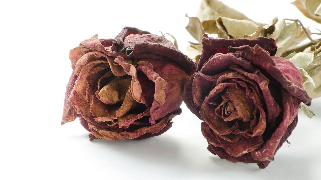 "Vaikka toinen miten haluaisi jatkaa avioliittoa ja vaikka hän miten rakastaisi puolisoaan, liittoa ei voi kannatella yksin."