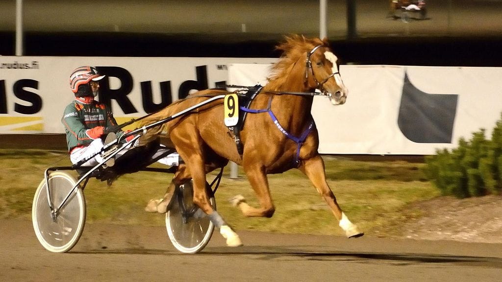 Teivossa Magnatin ohjakset ottaa vakiokuski Jukka Torvisen sijaan isoveli Hannu Torvinen.