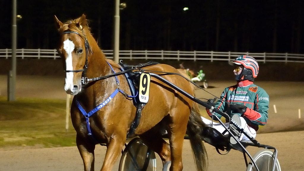 Magnat joutuu jättämään Teivon Toto5-kierroksen startin väliin loukkaantumisen vuoksi.