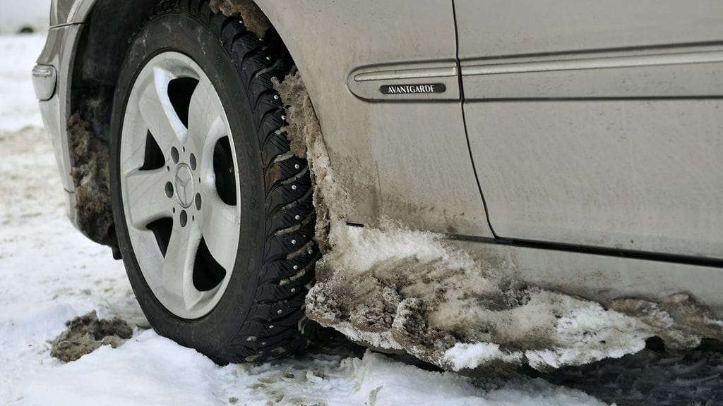 Kunnollinen tassu turvaa matkan.