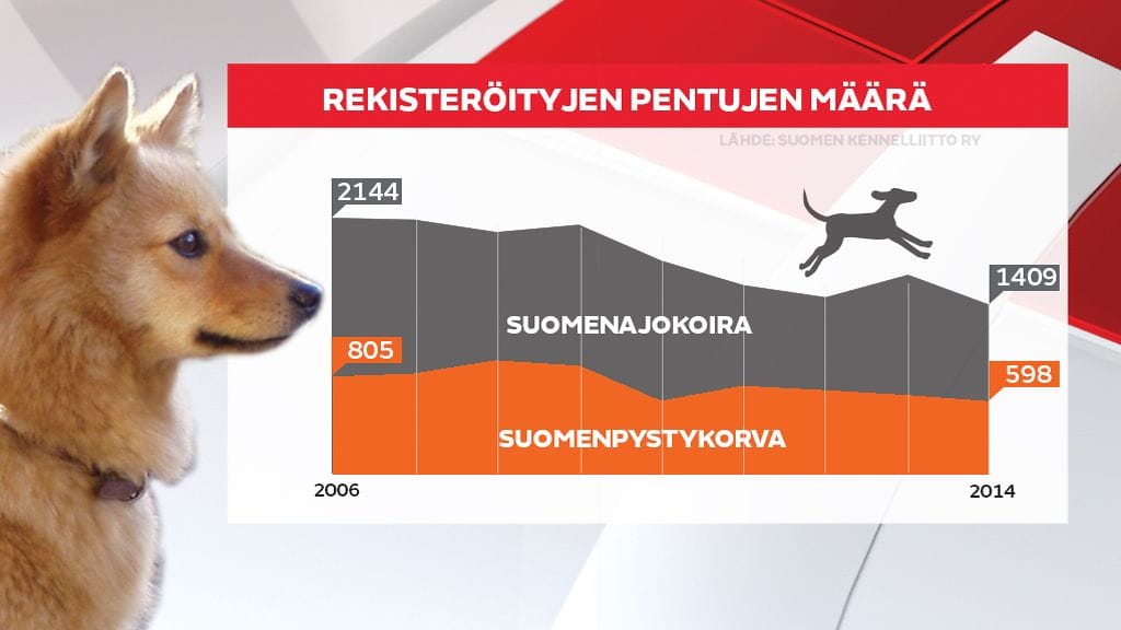 rekisteröidyt-pennut