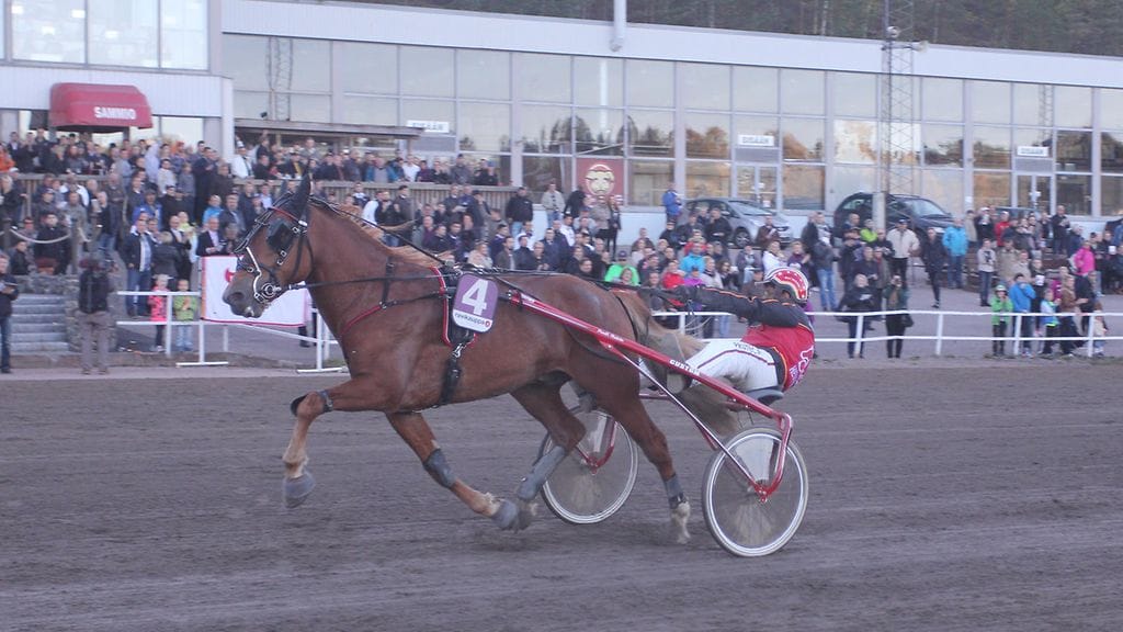 Tähen Toivomus voitti viime vuonna Kriteriumin Henri Bollströmin ohjastamana.