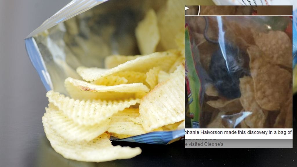 Amerikkalaisnainen löysi sipsipussistaan jyrsijän.